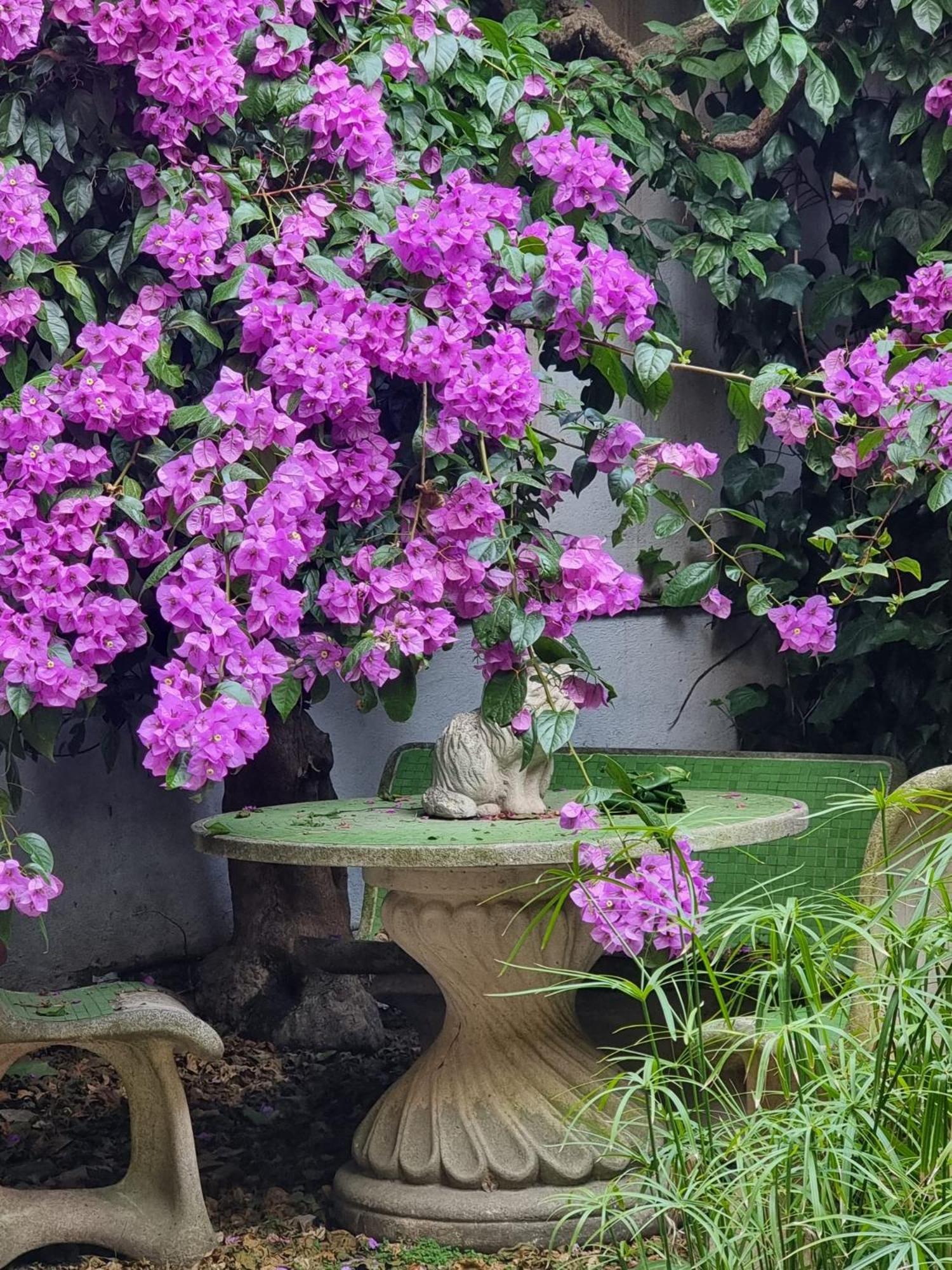 Vatican Fairytale Garden Рим Экстерьер фото